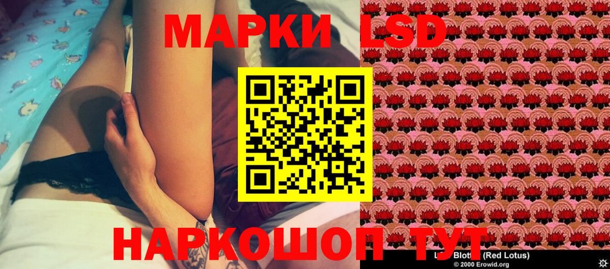 Шали  Марки N-bome 1,8мг  Вход с VPN  Марки N-bome 1,8мг 
