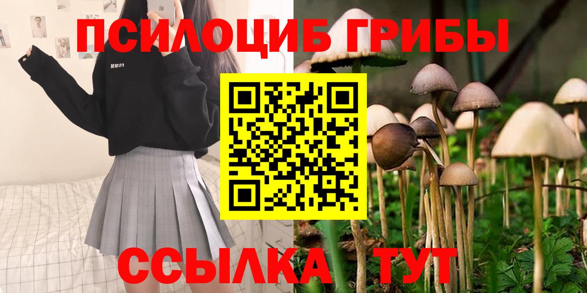 Галлюциногенные грибы мухоморы Шали