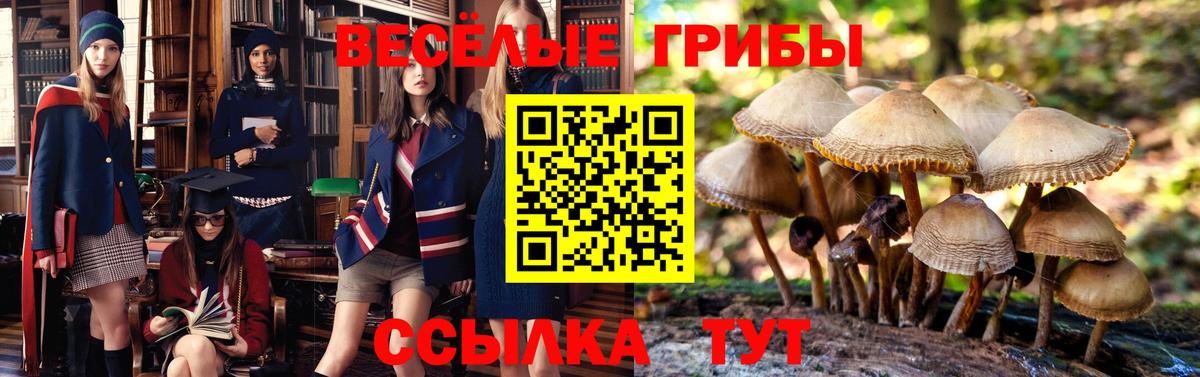 как найти закладки  Вход с VPN  Шали  Галлюциногенные грибы Psilocybe 