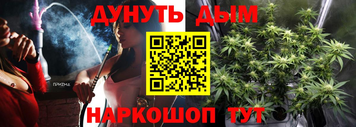Шали  Бошки Шишки Bruce Banner  Вход с VPN  Бошки марихуана планчик  МАРИХУАНА VHQ  Бошки Шишки LSD WEED 